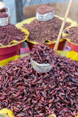 Oaxaca 'dan taze kızarmış ve tuzlanmış çekirgeler (çeviri: chapulines) bir masada dikey olarak sergilenmektedir.