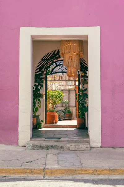 Oaxaca, Meksika 'da güzel bir kapı. Pembe duvarlı, sokak fotoğrafçısı, dikey.