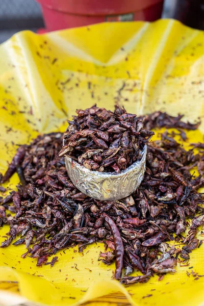 Close Uma Tigela Gafanhotos Fritos Salgados Oaxaca Tradução Chapulines Fundo — Fotografia de Stock