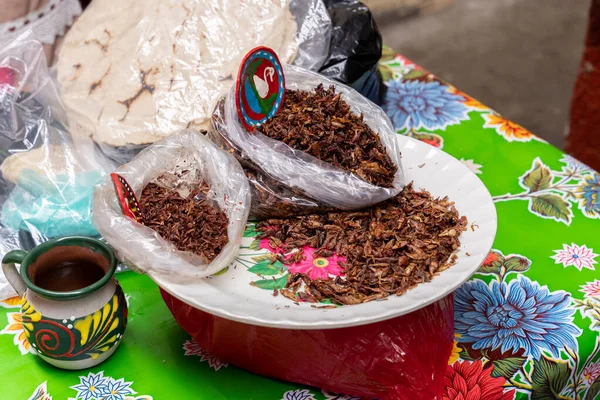 Gafanhotos Fritos Salgados Frescos Oaxaca Tradução Chapulines Sobre Uma Mesa — Fotografia de Stock