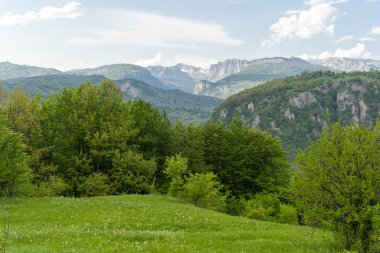 Beautiful green mountain range in Montenegro, Europe