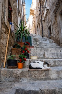 A cat sleeping on steps in narrow alley in old town Dubrovnic, horizontal