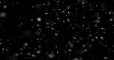 Siyah zemin üzerinde rastgele uçan küçük beyaz parçacıklara sahip video