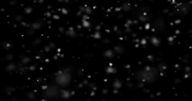 Siyah zemin üzerinde rastgele uçan küçük beyaz parçacıklara sahip video