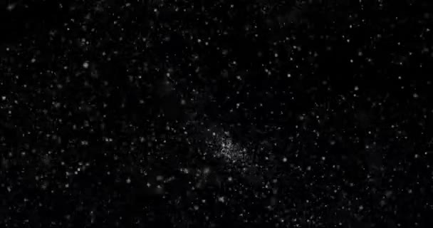 Video Met Kleine Witte Deeltjes Die Willekeurig Zwarte Achtergrond Vliegen — Stockvideo