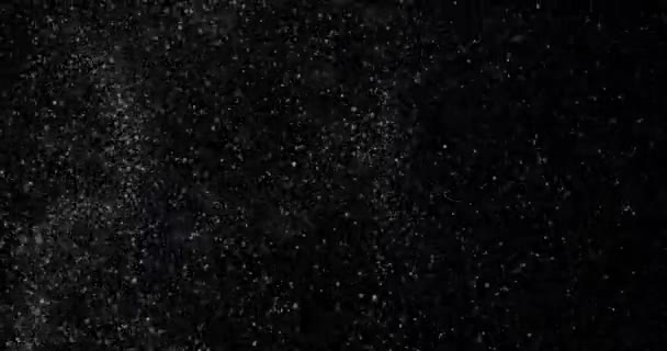 小さな白い粒子がランダムに黒い背景に飛んでいるビデオ — ストック動画