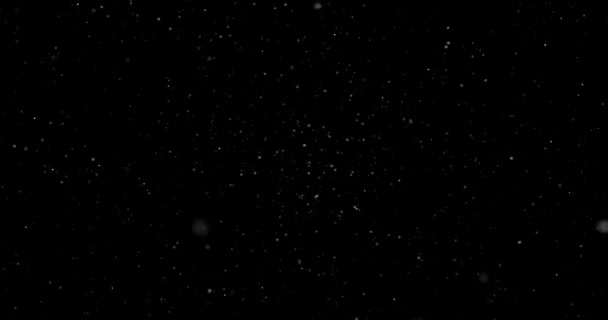 Animation Small White Particles Flying Randomly Black Background — Stok Video