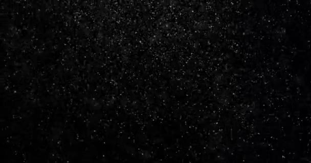 Video Mit Kleinen Weißen Teilchen Die Zufällig Auf Schwarzem Hintergrund — Stockvideo