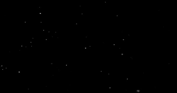 Animation Small White Particles Flying Randomly Black Background — Stockvideo