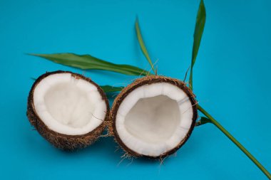 Mavi arka planda taze hindistan cevizi yarıları