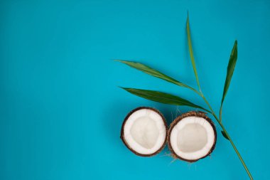 Mavi arka planda taze hindistan cevizi yarıları