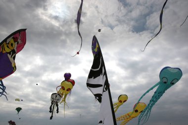 Berck sahilindeki bulutlu gökyüzünde uçurtmalar, Kanal Deniz Kıyısı, Fransa