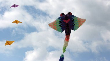 Berck sahilindeki bulutlu gökyüzünde uçurtmalar, Kanal Deniz Kıyısı, Fransa