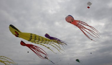 Berck sahilindeki bulutlu gökyüzünde uçurtmalar, Kanal Deniz Kıyısı, Fransa