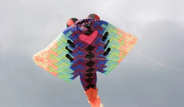 Kites Cloudy Sky Beach Berck Channel Sea Coast France — Stock Photo, Image