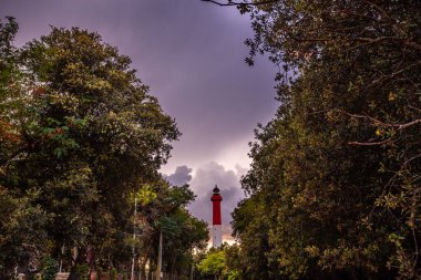 La Coubre deniz feneri, kıyı şeridi ormanı, Charente denizcilik, Fransa