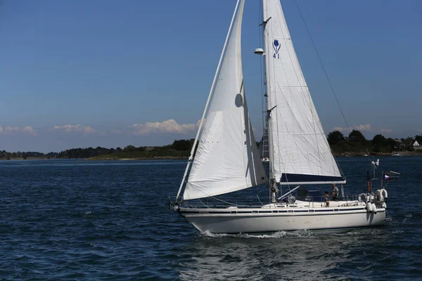 Costa Ilha Golfo Morbihan Bretagne França — Fotografia de Stock