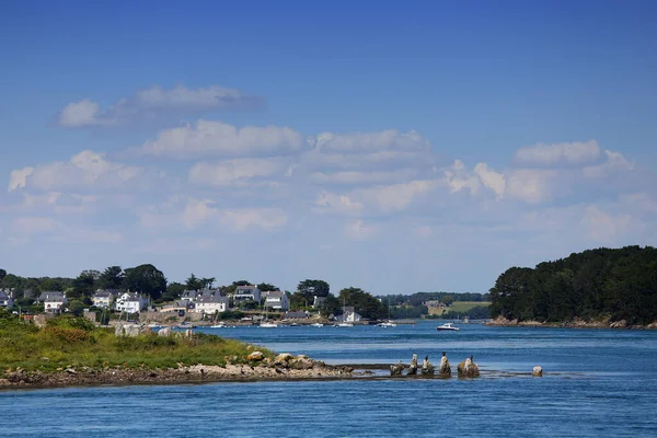 Costa Isla Golfo Morbihan Bretagne Francia — Foto de Stock