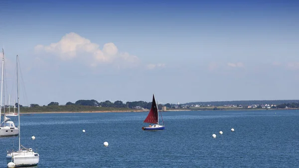 Küste Und Insel Golf Von Morbihan Bretagne Frankreich — Stockfoto