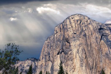 El Capitan 'ın dünyaca ünlü kaya tırmanışı duvarı, Yosemite Ulusal Parkı, Kaliforniya, ABD