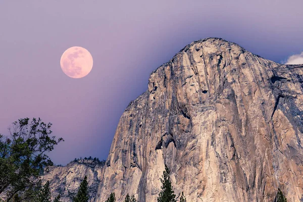 El Capitan 'ın dünyaca ünlü kaya tırmanışı duvarı, Yosemite Ulusal Parkı, Kaliforniya, ABD