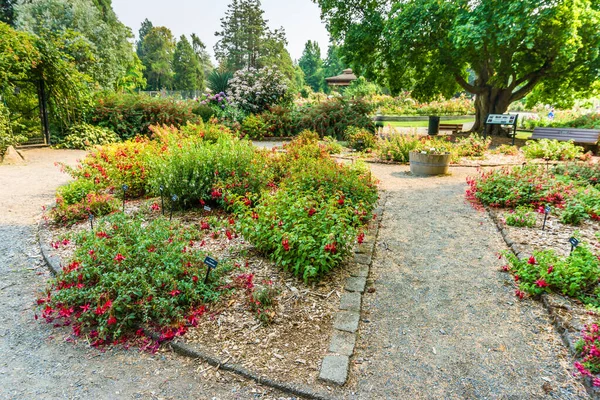 华盛顿塔科马Definance公园的玫瑰花园小径 — 图库照片