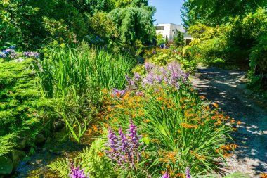 Seatac, Washington 'da bir bahçede çiçekler. Yazın.