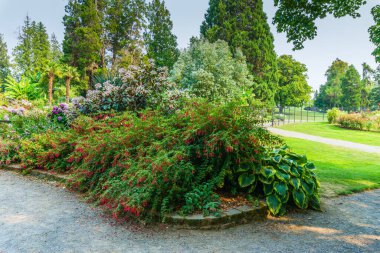 Tacoma, Washington 'daki Point Defiance Park' ta bir demet çiçek..