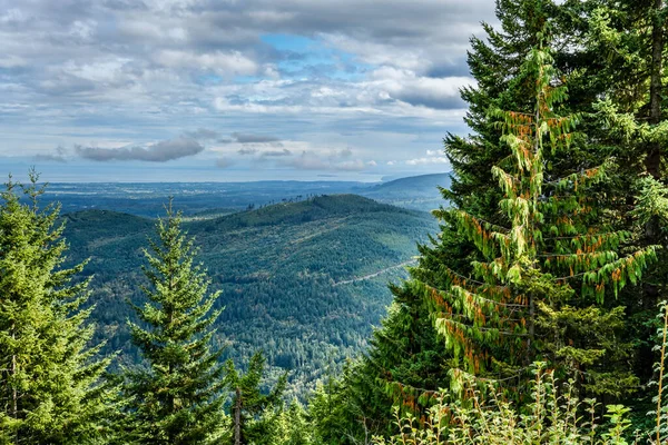Washington 'daki Kasırga Tepesi' nin okyanus manzarası..