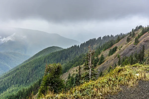 Washington 'daki Kasırga Tepesi' nde bulutlar var..