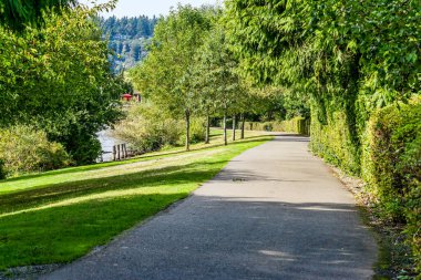 Renton, Washington 'daki Coulon Park' ta bir yürüyüş yolu..