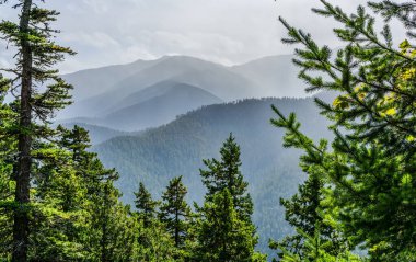 Washington 'daki Kasırga Tepesi' nde bulutlar var..