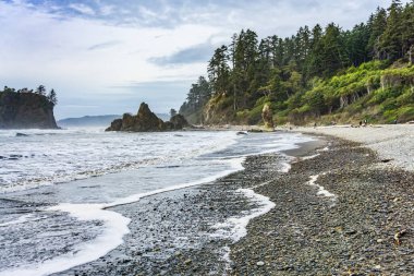 Washington 'daki Ruby Beach' in panorama çekimi..