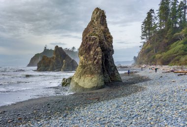 Washington 'daki Ruby Beach' te doğal bir kaya taşı taşı..