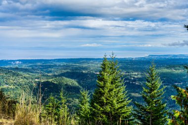 Washington 'daki Kasırga Tepesi' nin okyanus manzarası..