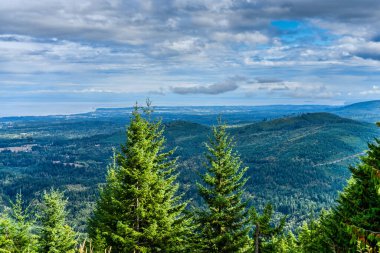 Washington 'daki Kasırga Tepesi' nin okyanus manzarası..