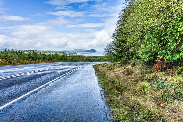 Natursköna Motorvägen Längs Den Olympiska Halvön Delstaten Washington — Stockfoto