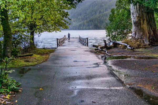 Molo Lungo Costa Lake Crescent Nello Stato Washington — Foto Stock