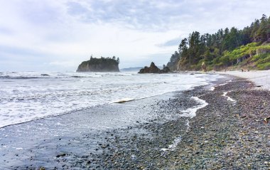 Washington 'daki Ruby Beach' in panorama çekimi..