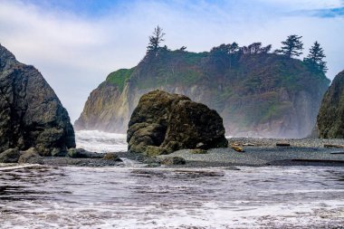 Washington 'daki Ruby Beach' te kara oluşumları.
