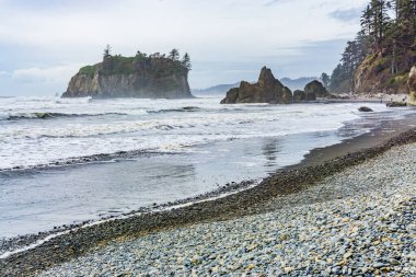 Washington 'daki Ruby Beach' in panorama çekimi..