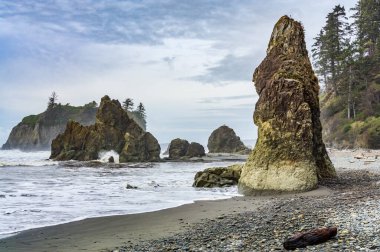 Washington 'daki Ruby Beach' in panorama çekimi..