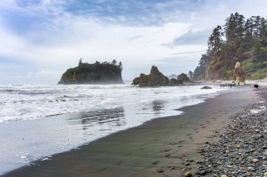 Washington 'daki Ruby Beach' in panorama çekimi..