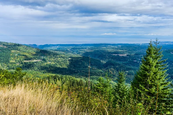 Washington 'daki Kasırga Tepesi' nin okyanus manzarası..