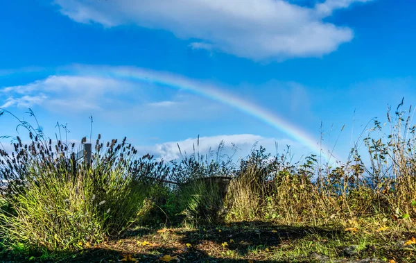 Een Regenboog Port Angeles Washington Blauwe Lucht — Stockfoto