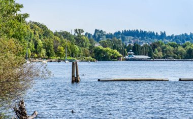 Renton, Washington 'daki Coulon Park' ın kıyı şeridi manzarası.