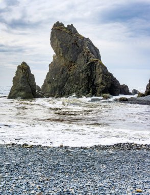 Washington 'daki Ruby Beach' te doğal bir kaya taşı taşı..