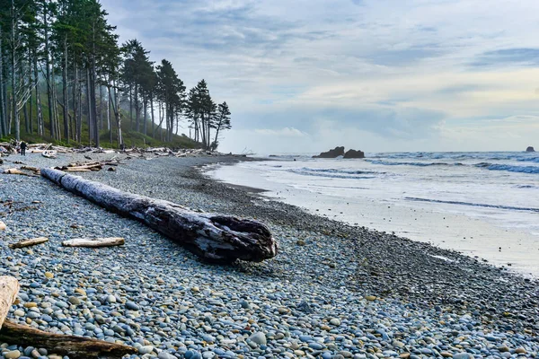 Scenic Garis Pantai Pantai Ruby Washington State — Stok Foto