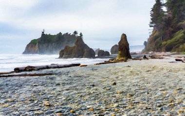 Washington 'daki Ruby Beach' in panorama çekimi..