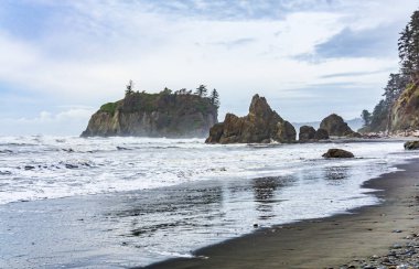 Washington 'daki Ruby Beach' in panorama çekimi..